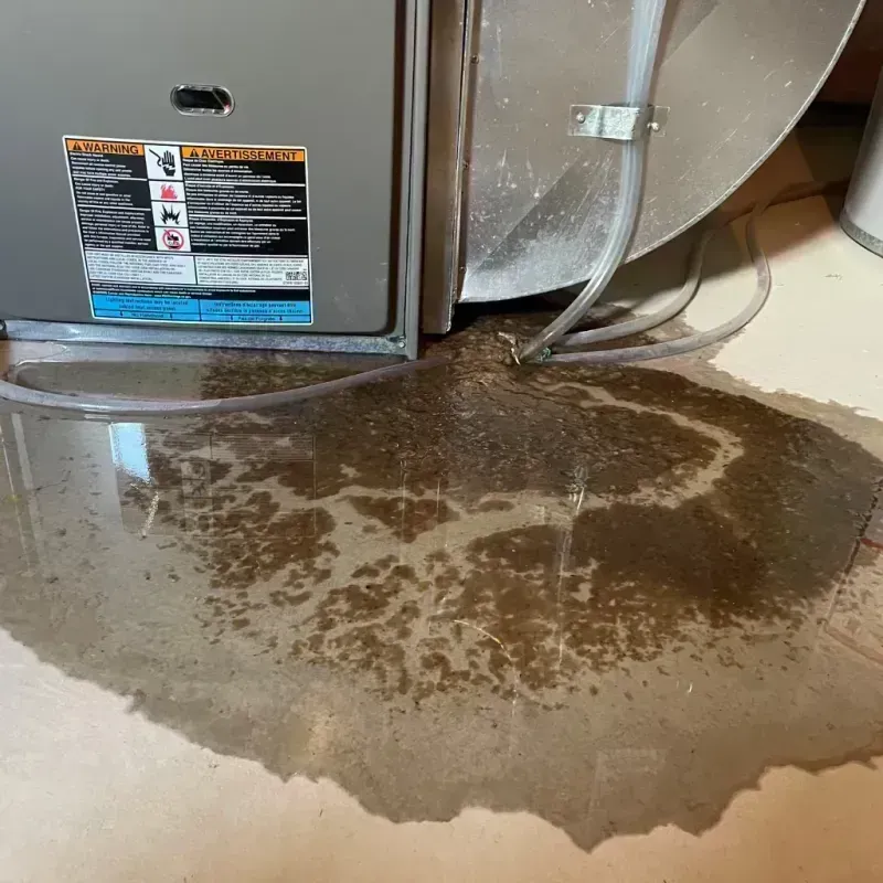 Appliance Leak Cleanup in Charleston, WV